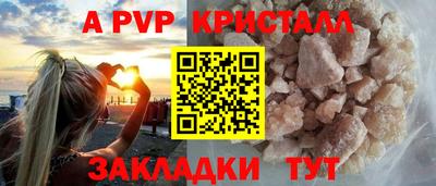 стаф Гай