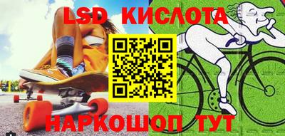стаф Гай