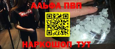 стаф Гай