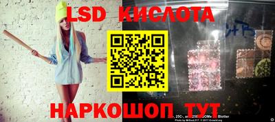 стаф Гай