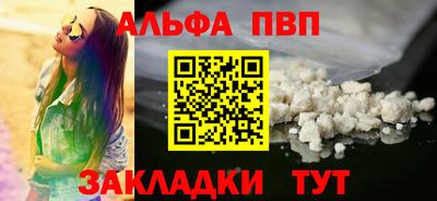стаф Гай