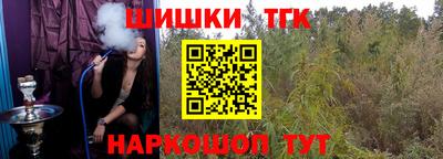 стаф Гай
