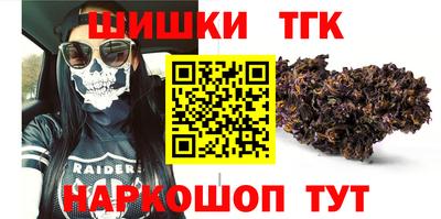 стаф Гай
