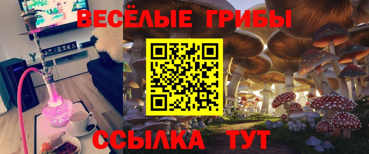 Псилоцибиновые грибы Magic Shrooms Обнинск
