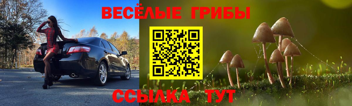 Псилоцибиновые грибы ЛСД  Псилоцибиновые грибы MAGIC MUSHROOMS  Обнинск  Вход с VPN 